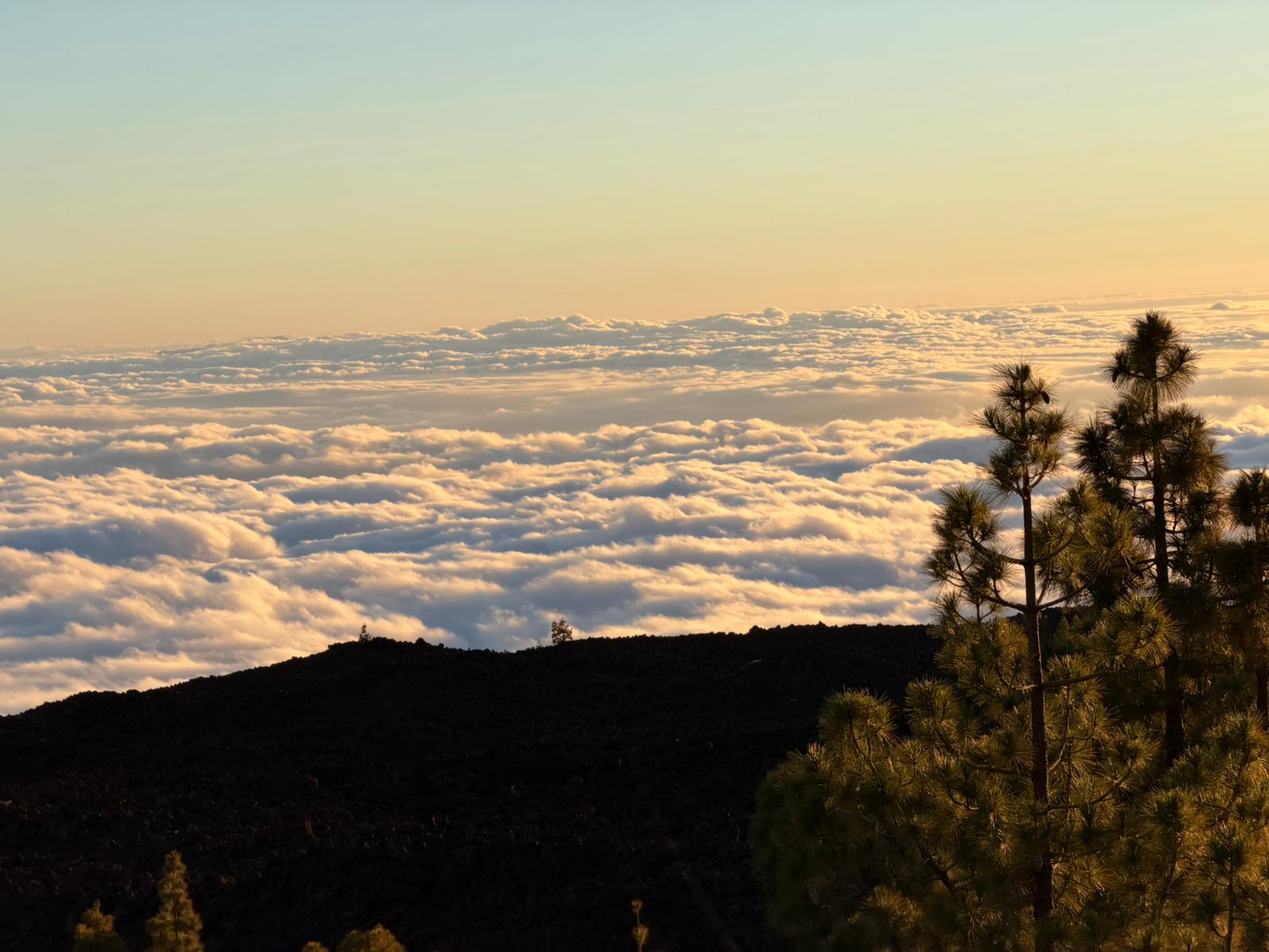 TEIDE Standard Sunset Tour (3/6)